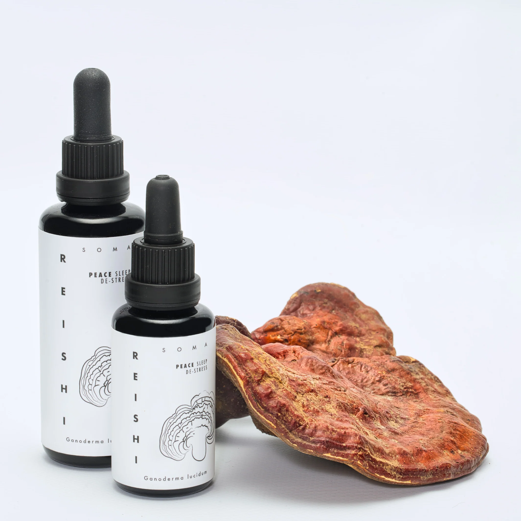 Reishi Mushroom Tincture (Ganoderma Lucidum Extract), 30 ml - Image 2