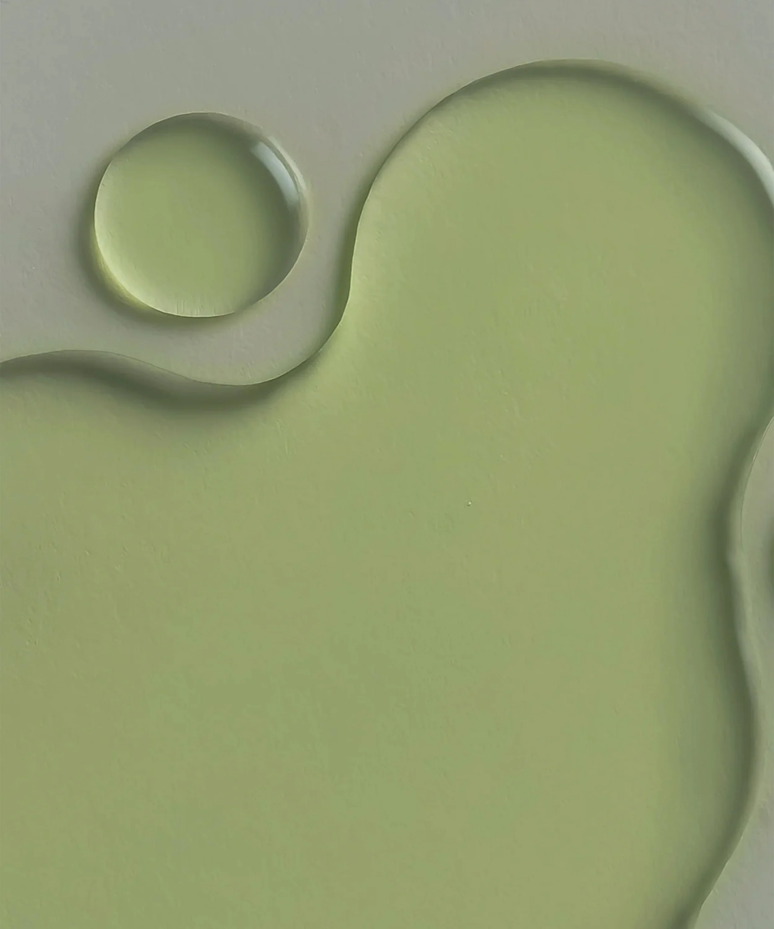 Cactus Bouncy Serum, 52 ml - Image 2